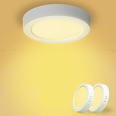 Descubre los diferentes tipos de plafones LED y sus usos